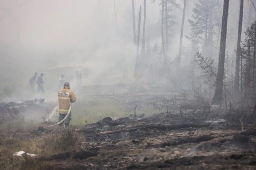 Потушили самый большой лесной пожар в Якутии