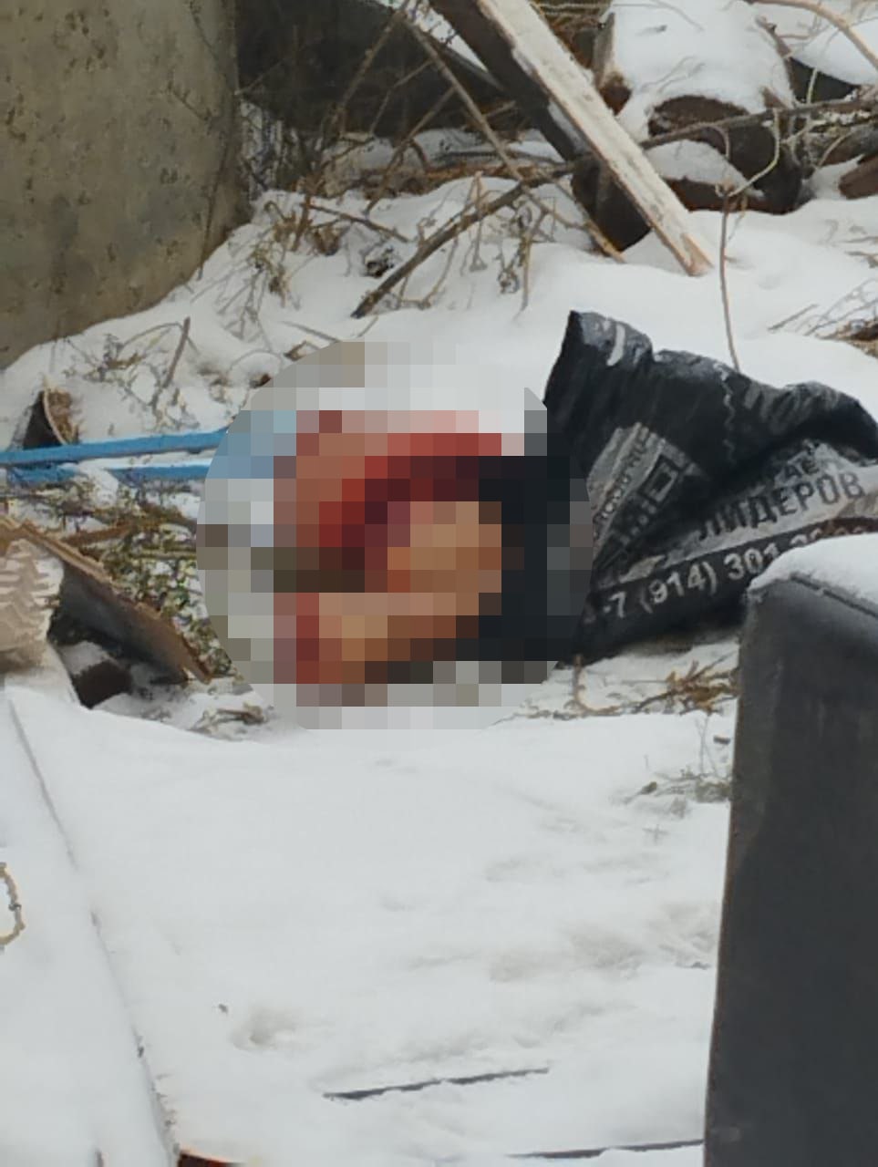 Расчлененные тела людей обнаружили под Петербургом - биржевые-записки.рф | Новости