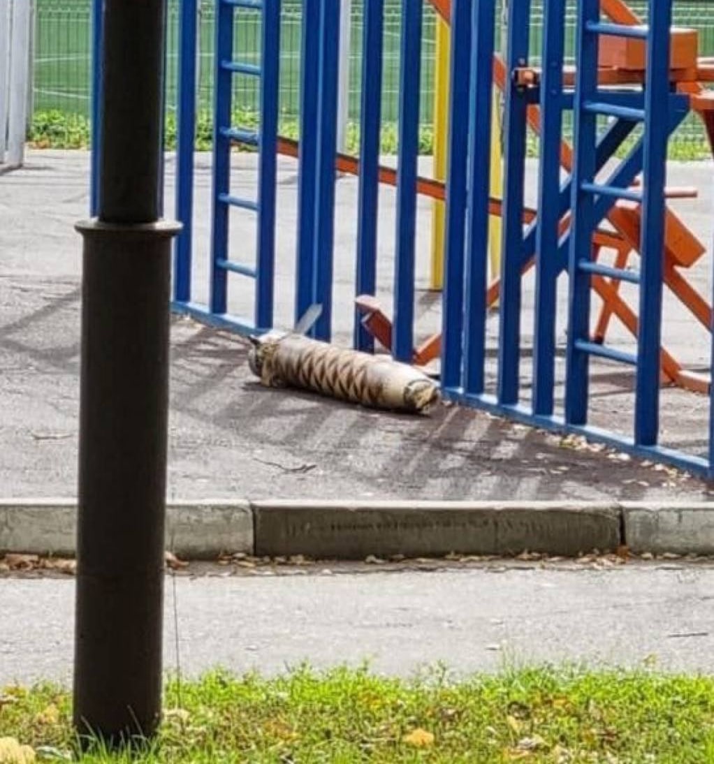 В Белгороде осколками поврежден жилой дом