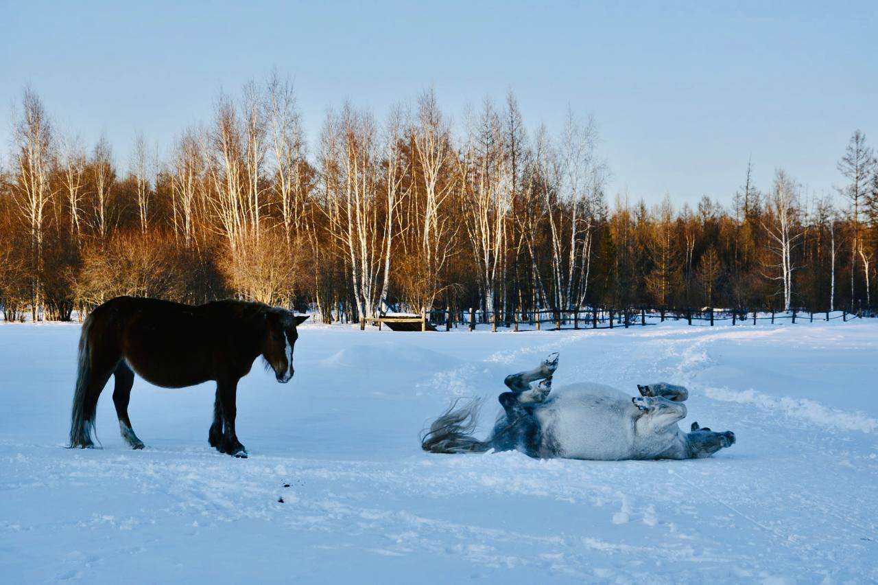 Весна в календаре, весна в душе??