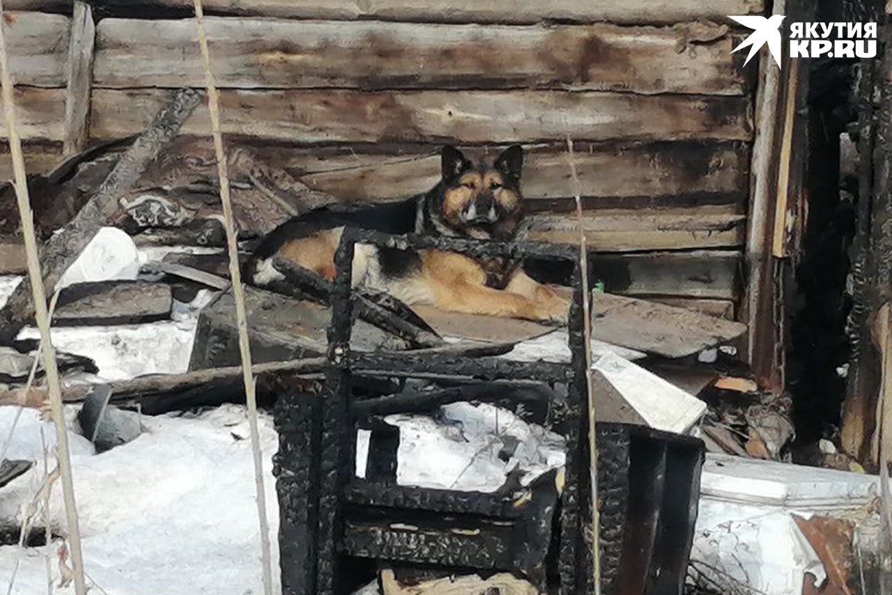 Самоотверженная женщина ценой своей жизни спасла мужика