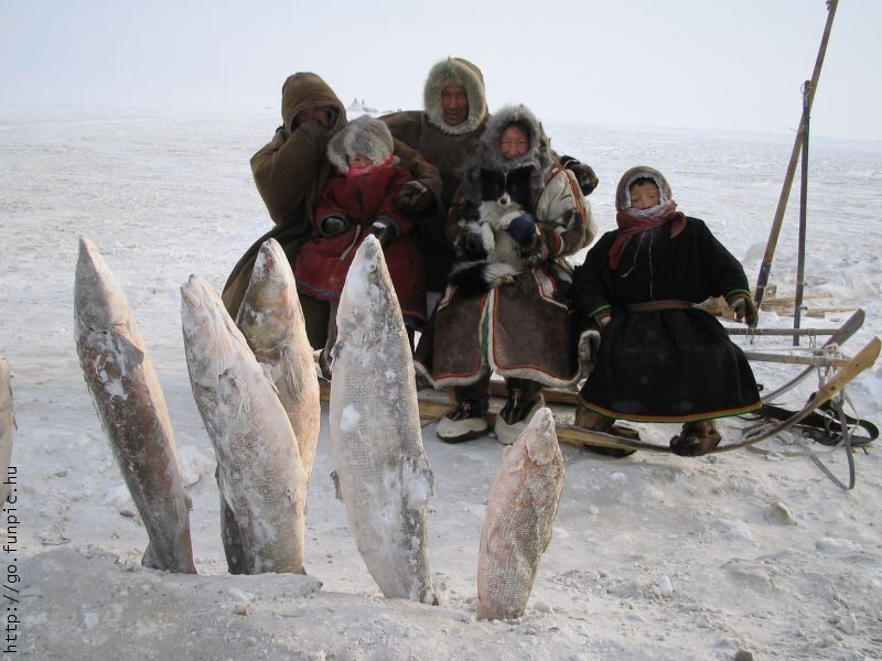 Традиционные промыслы эскимосов