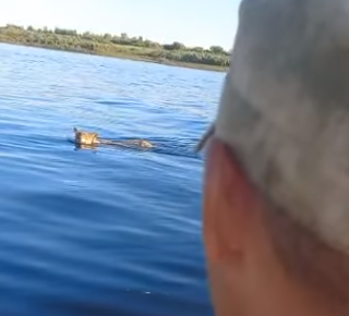 Домашнее у реки - видео. Смотреть Домашнее у реки - порно видео на sharikivrn.ru