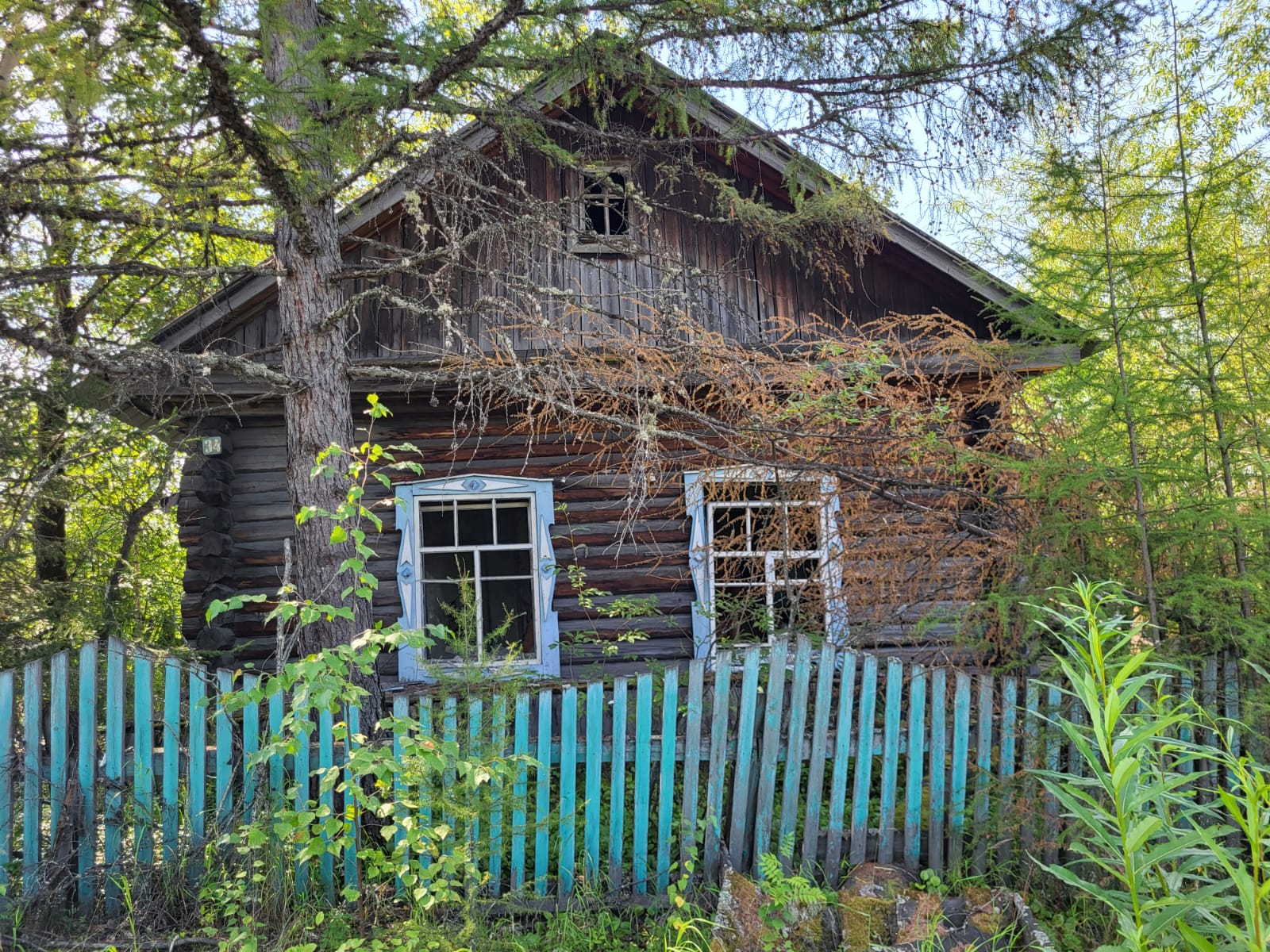 Дневники нерюнгринской экспедиции Александра Кошукова: Старые дома Чульмана  | 19.08.2023 | Якутск - БезФормата