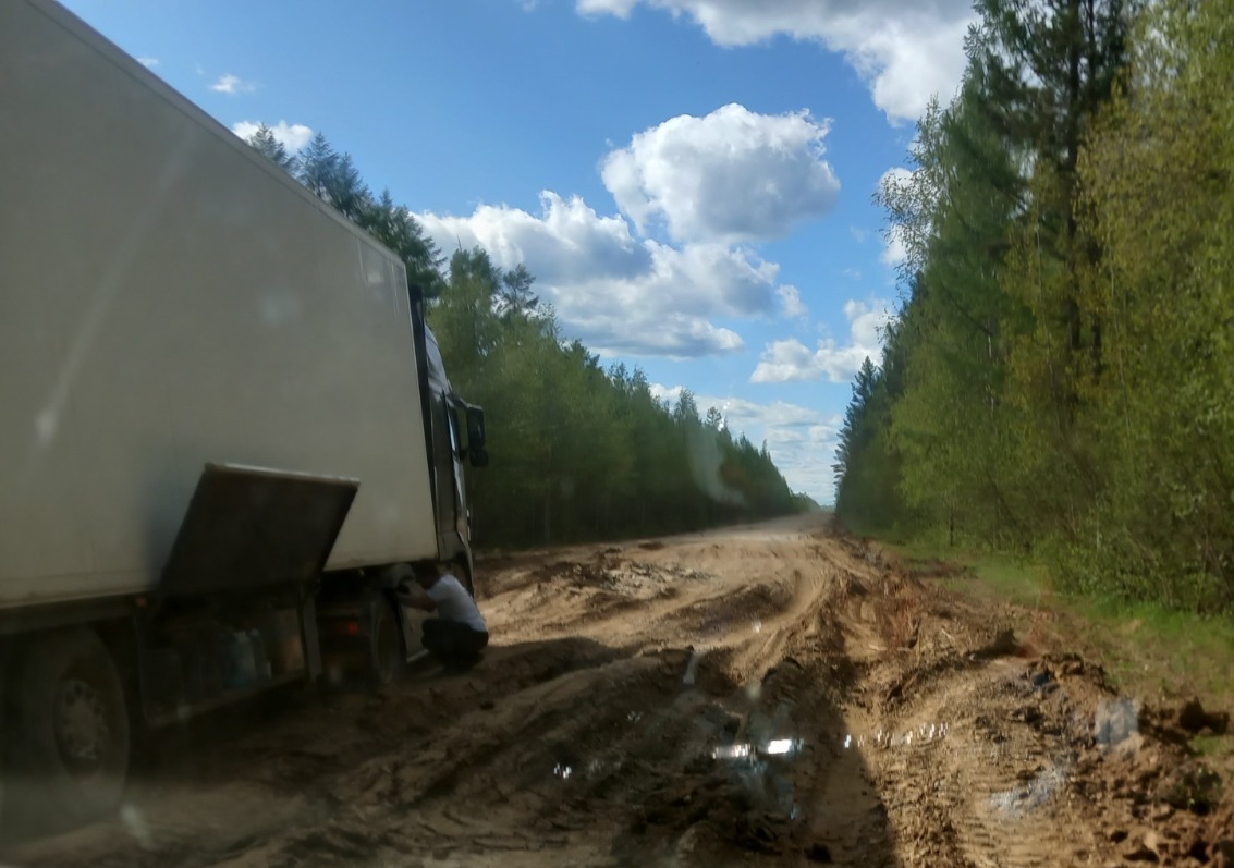 Я все видел, это он виноват: Нет, он!