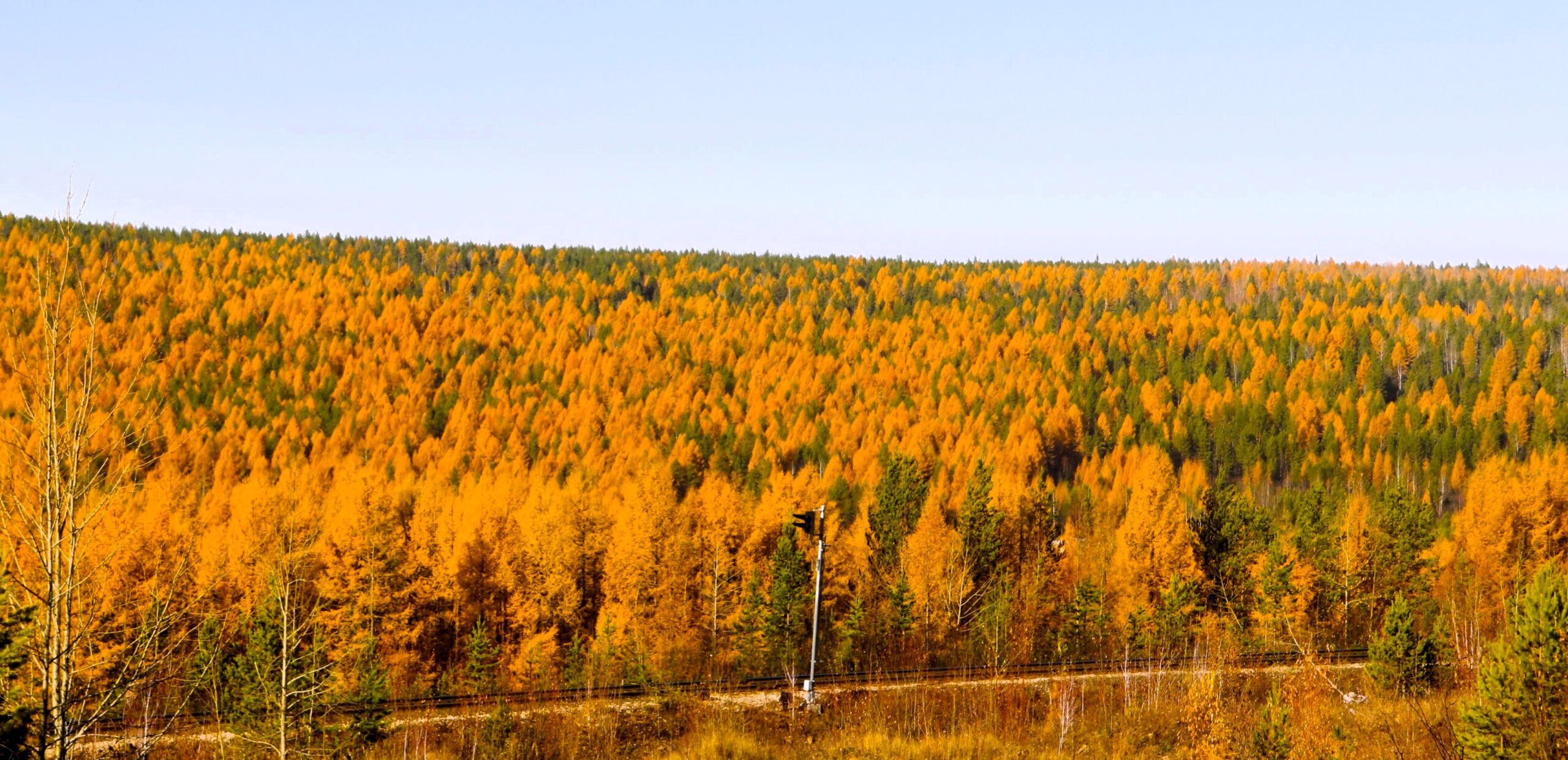 Саха Якутия село Кердем фото церкви