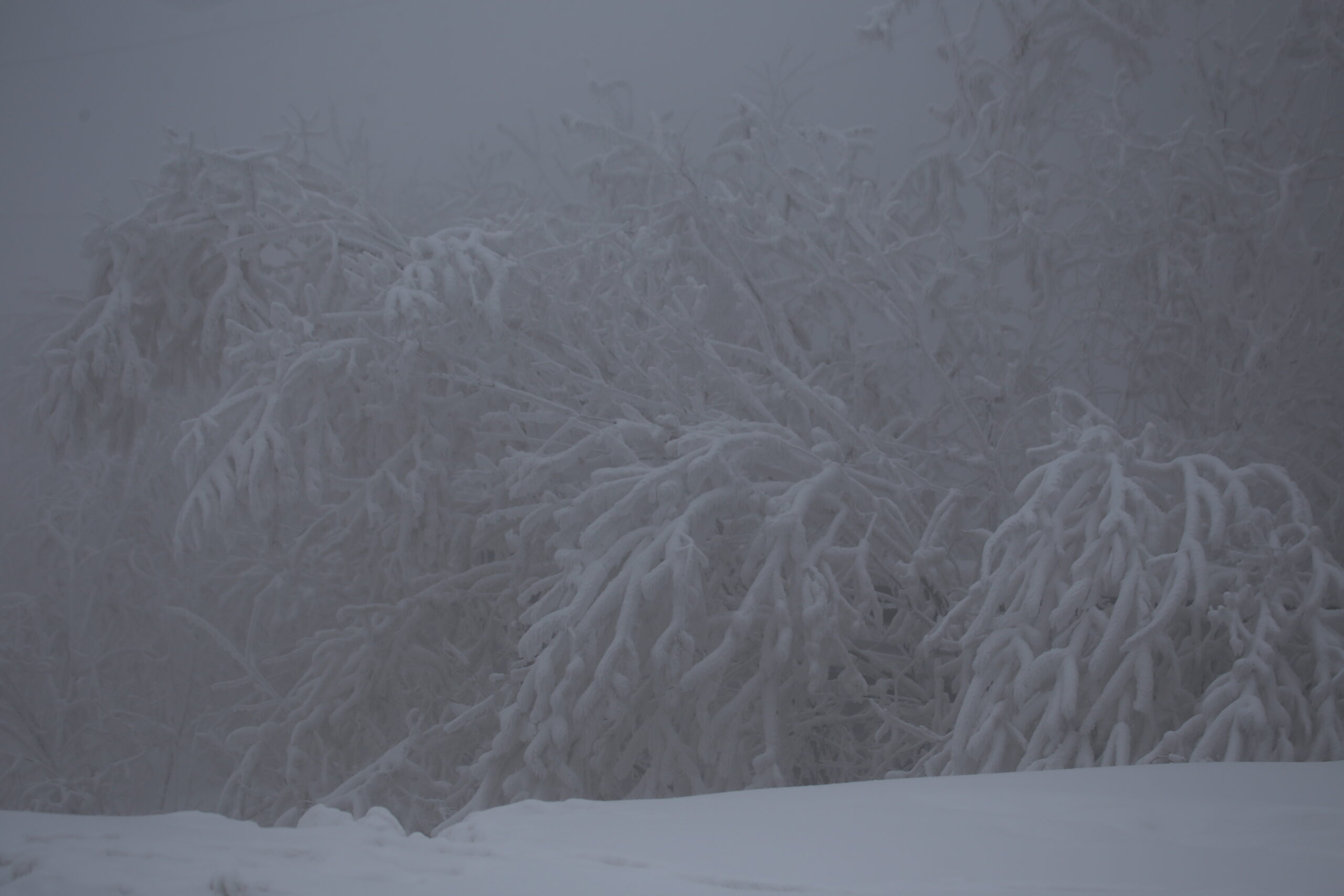 Умеренный снегопад это. Густой морозный туман Якутия. Сугробы в Омской части. Якутск в тумане сопки. Где умеренно холодная снежная зима