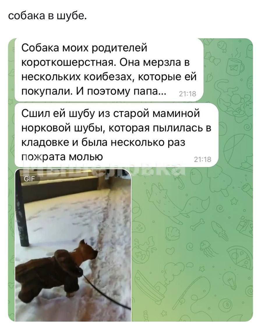 Мой парень все еще общается со своей бывшей, что мне делать?