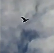 Песня счастья якутского охотника: Поздравляю, утки прилетели! — видео