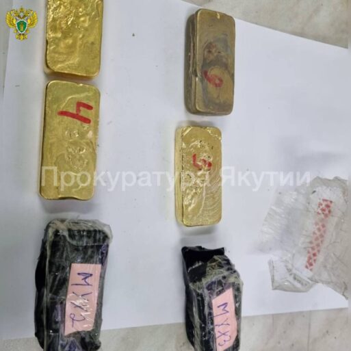 Взыскали 27 миллионов с «геологов», незаконно добывавших золото в Якутии