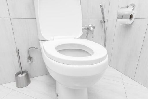 toilet bowl at domestic bathroom.
санузел с унитазом