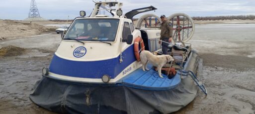 Путешественник с собакой отправился на лодке по рекам Якутии — с юга на север