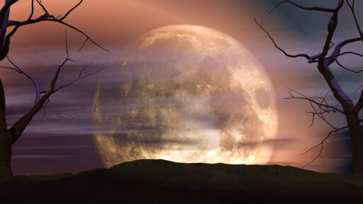 3D render of a moon landscape with spooky trees
Полнолуние