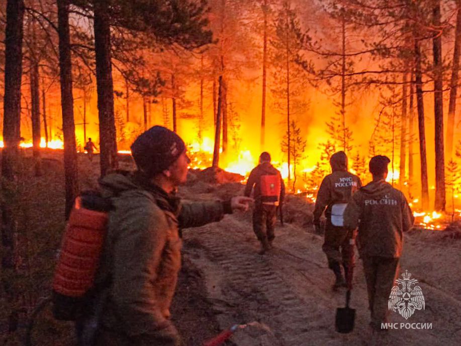 Лесные пожары не сдаются: Для усиления сил вылетели пожарные МЧС России