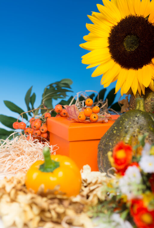Autumn arrangement with orange gift box in the middle, blue background, copy space
Август астропрогноз