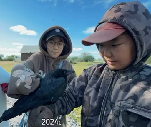 Трогательное видео: В Якутии мальчик сумел вырастить выпавших из гнезда воронят