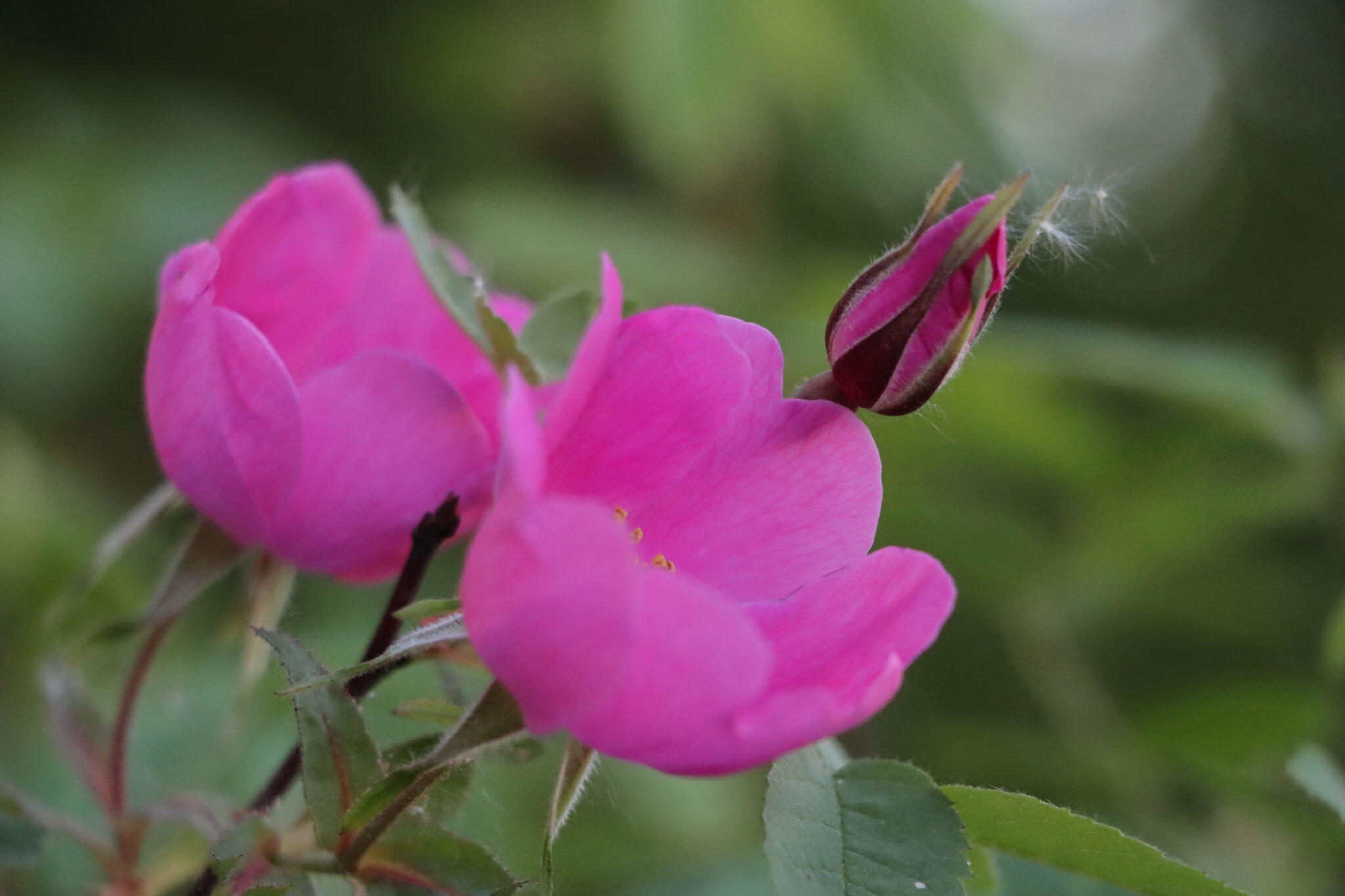 Погодный беспредел: Дожди, грозы и ливни