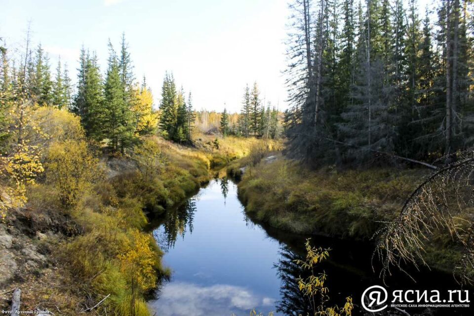 Видеообращение жителя вскрыло экологическую проблему в Якутии