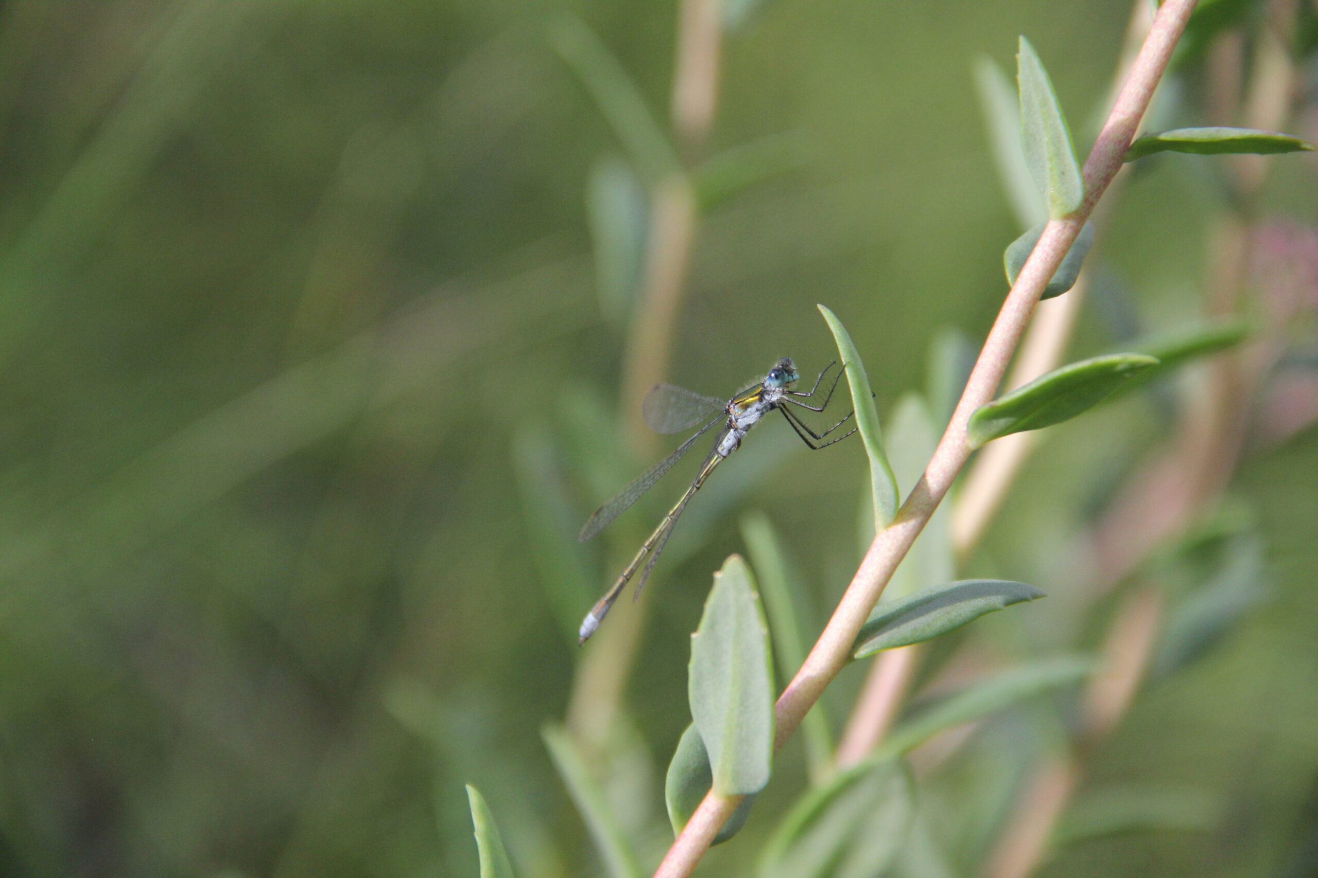 Погода улучшится: Местами +32°