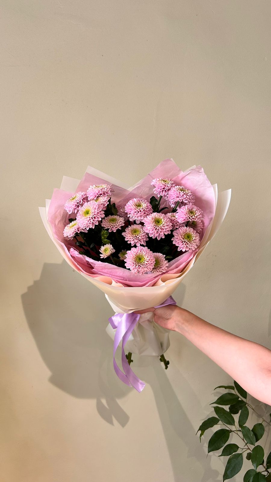 Сегодня день рождения астролога и гроссмейстера