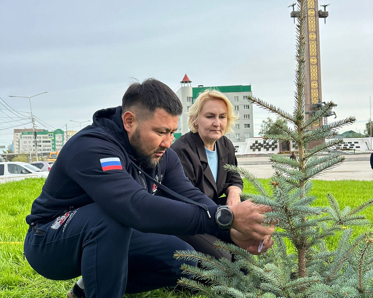 Вечная память: Голубые ели Победы