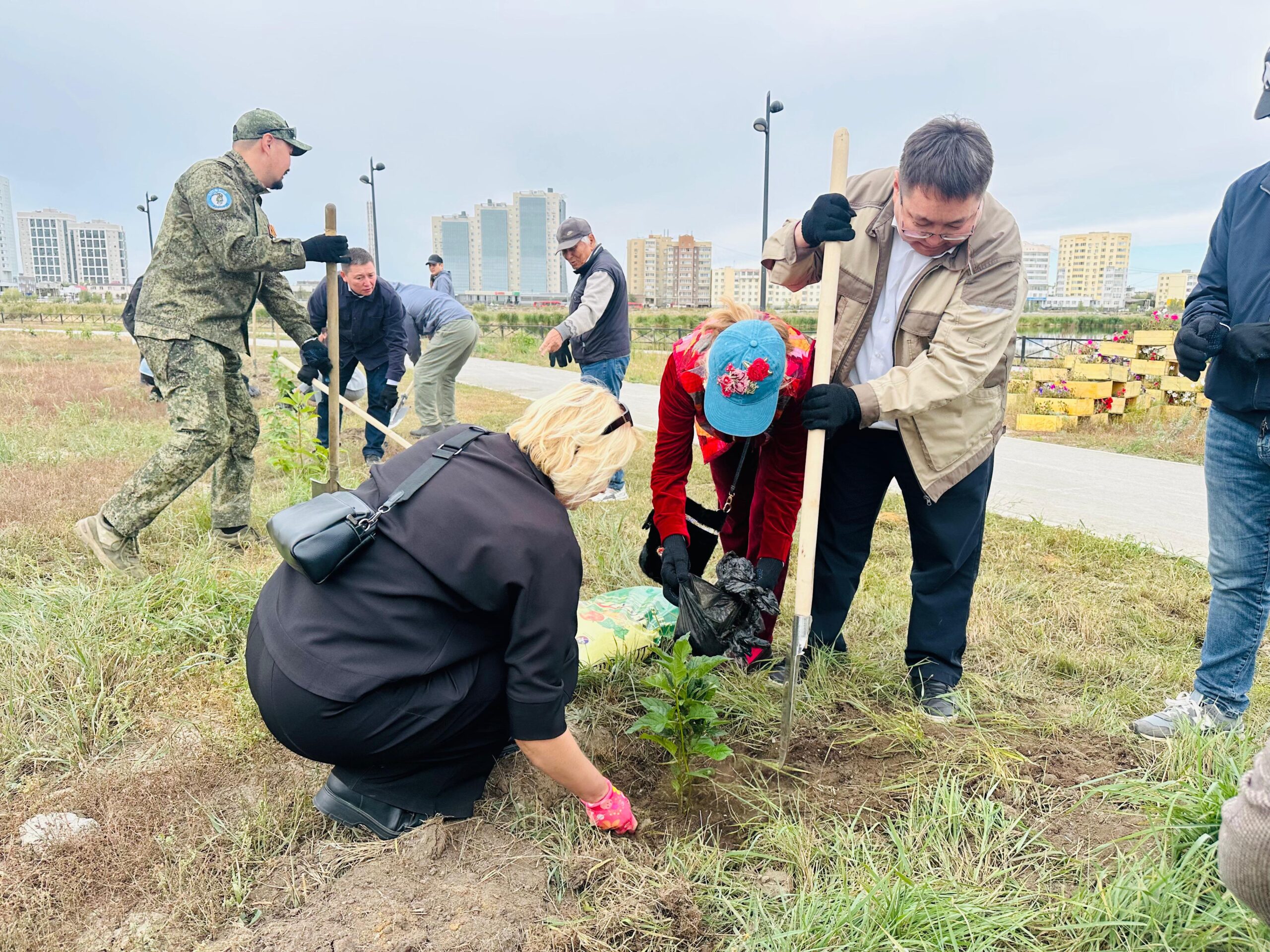 Сирень Победы — цветущая память
