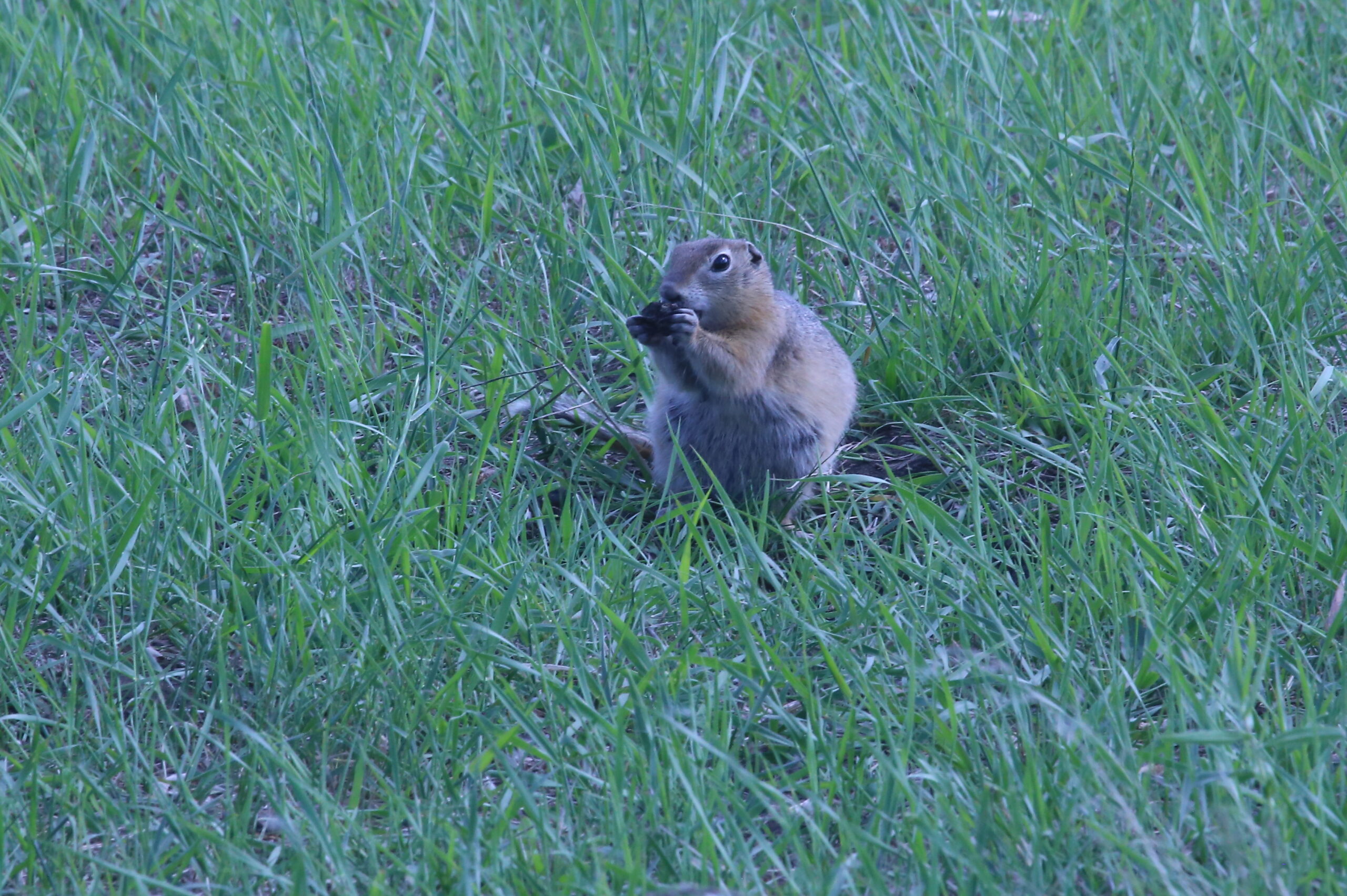 Осень в разгаре… Прекрасная и печальная