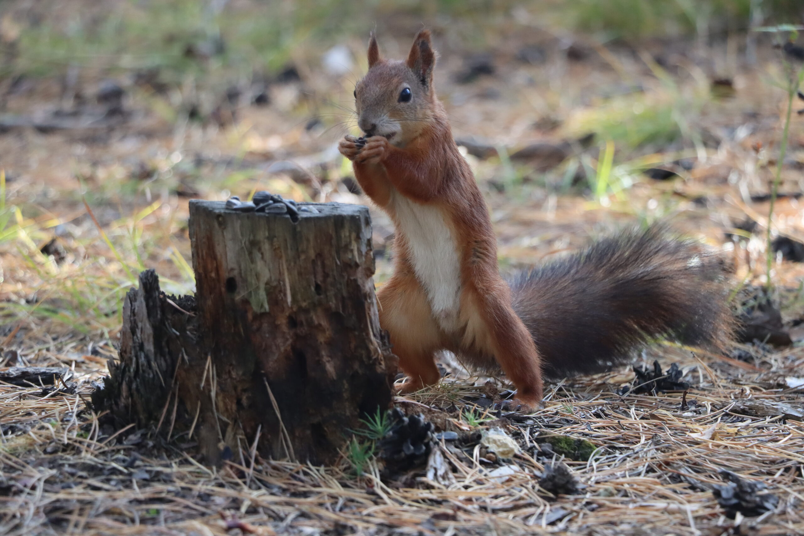 С каждым днем все холоднее и холоднее