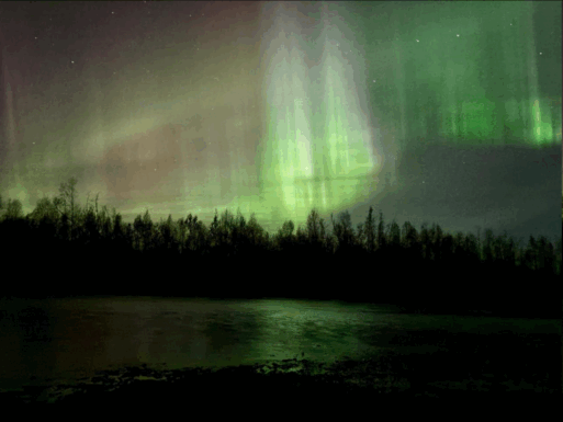 Природа Якутии