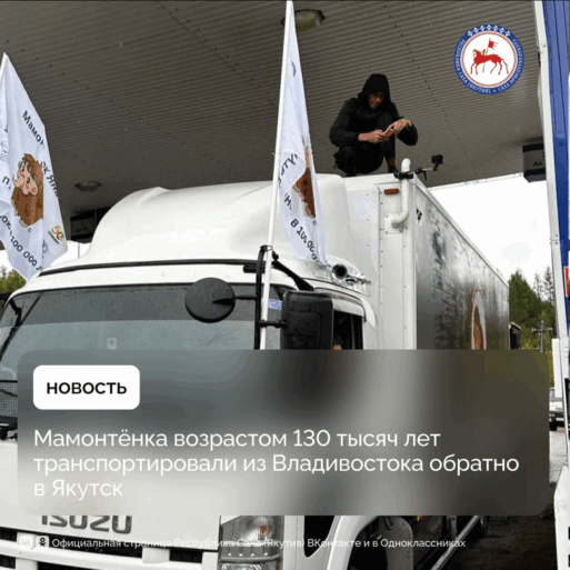 Мамонтенок Яна