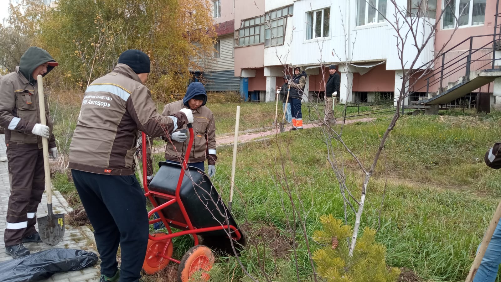 Сохраним лес: Коллектив «РИК Автодор» высадил 150 деревьев