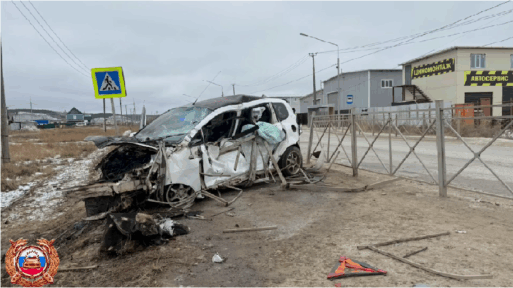 авария Птицевод