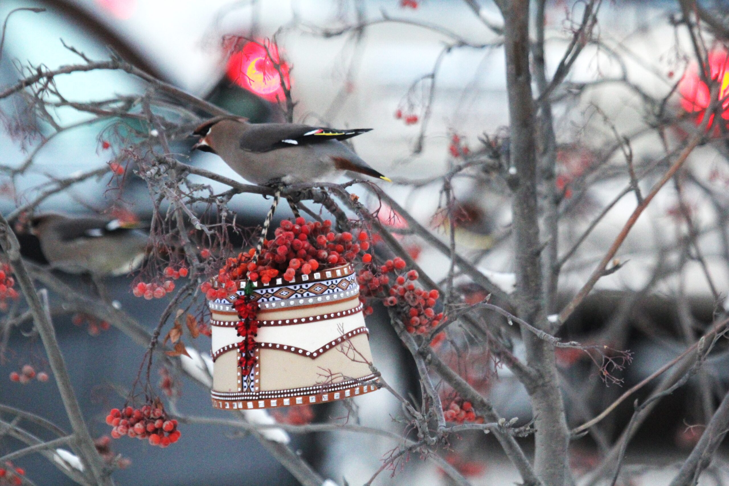 Столбик термометра опустится до  -24 градусов