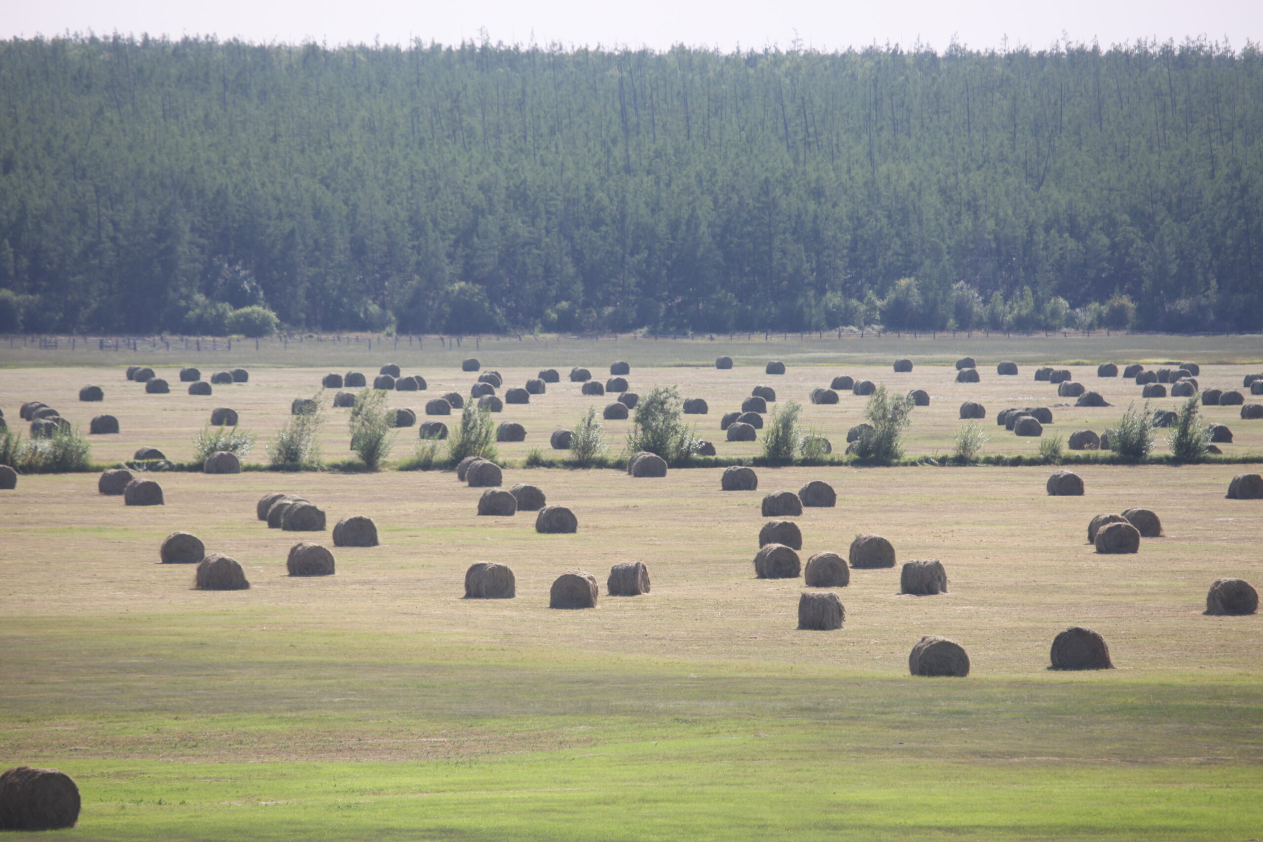 Тепло даже ночью: Днем всего -2°