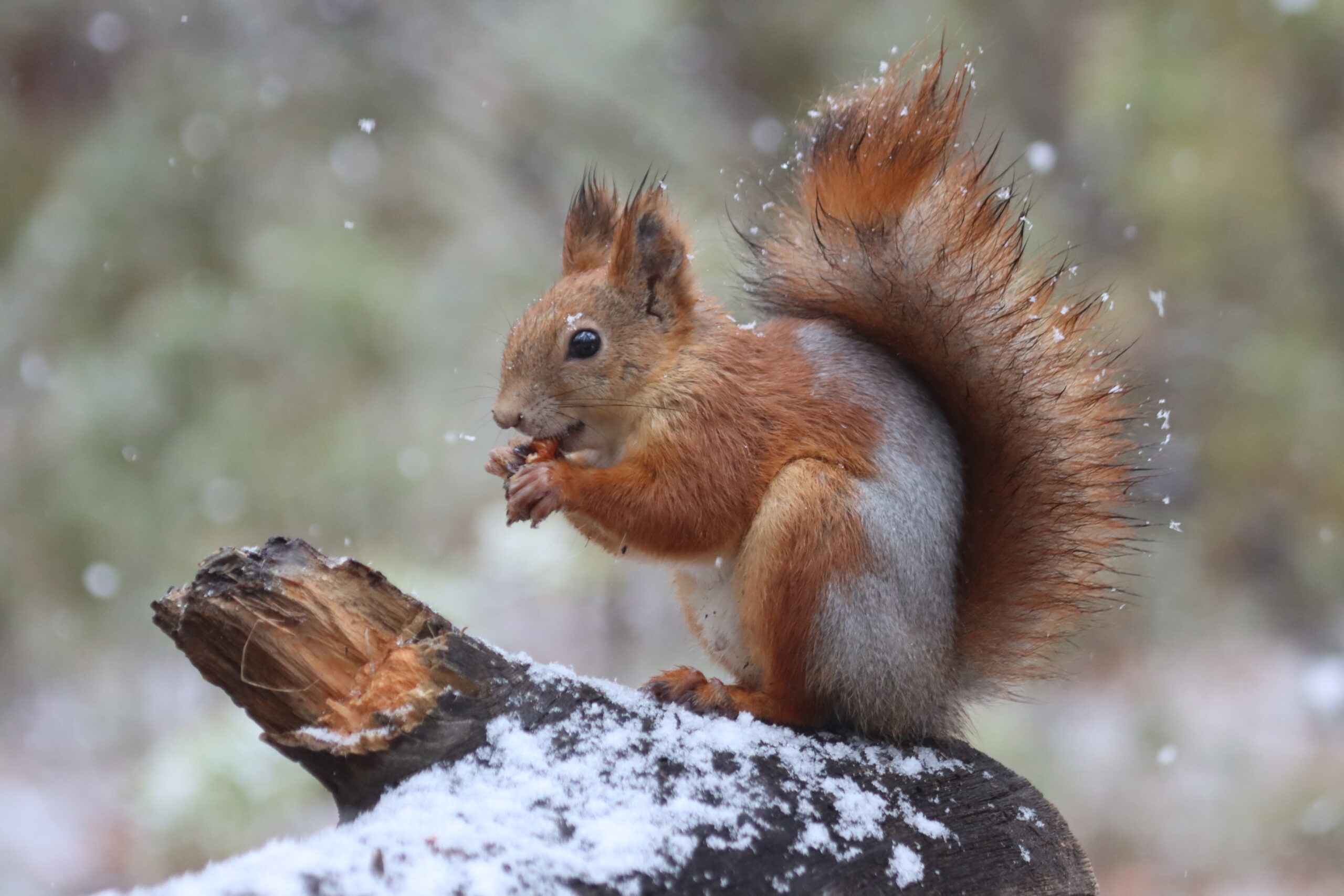 И оглянуться не успели: Похолодает до -22°