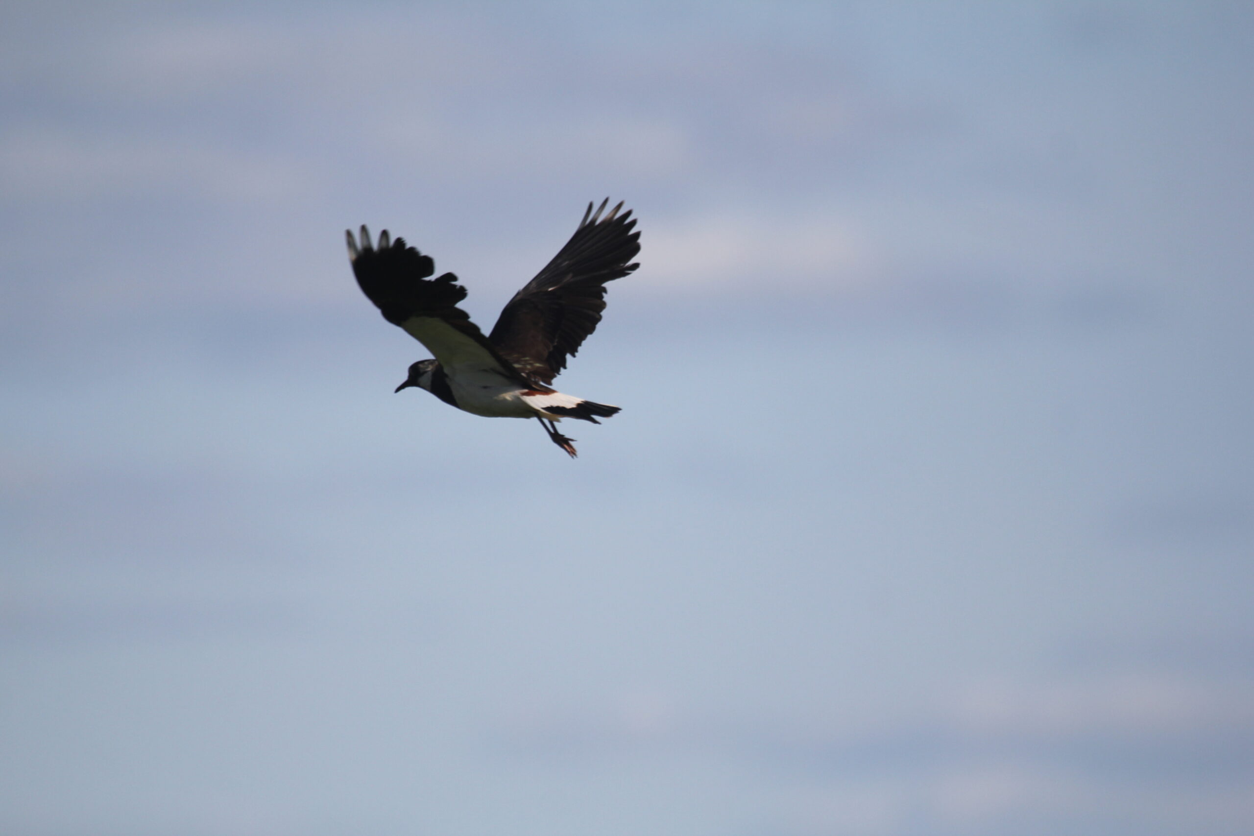 Ударят первые реальные морозы: Почти — 30°