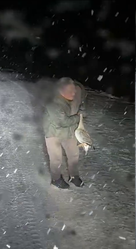 «Попали на камеру»: в сети появилось видео с запрещенной охотой в Якутии, начата проверка