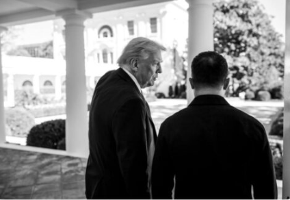 Трамп Зеленскому: Пора прекратить убийства и заключить СДЕЛКУ!