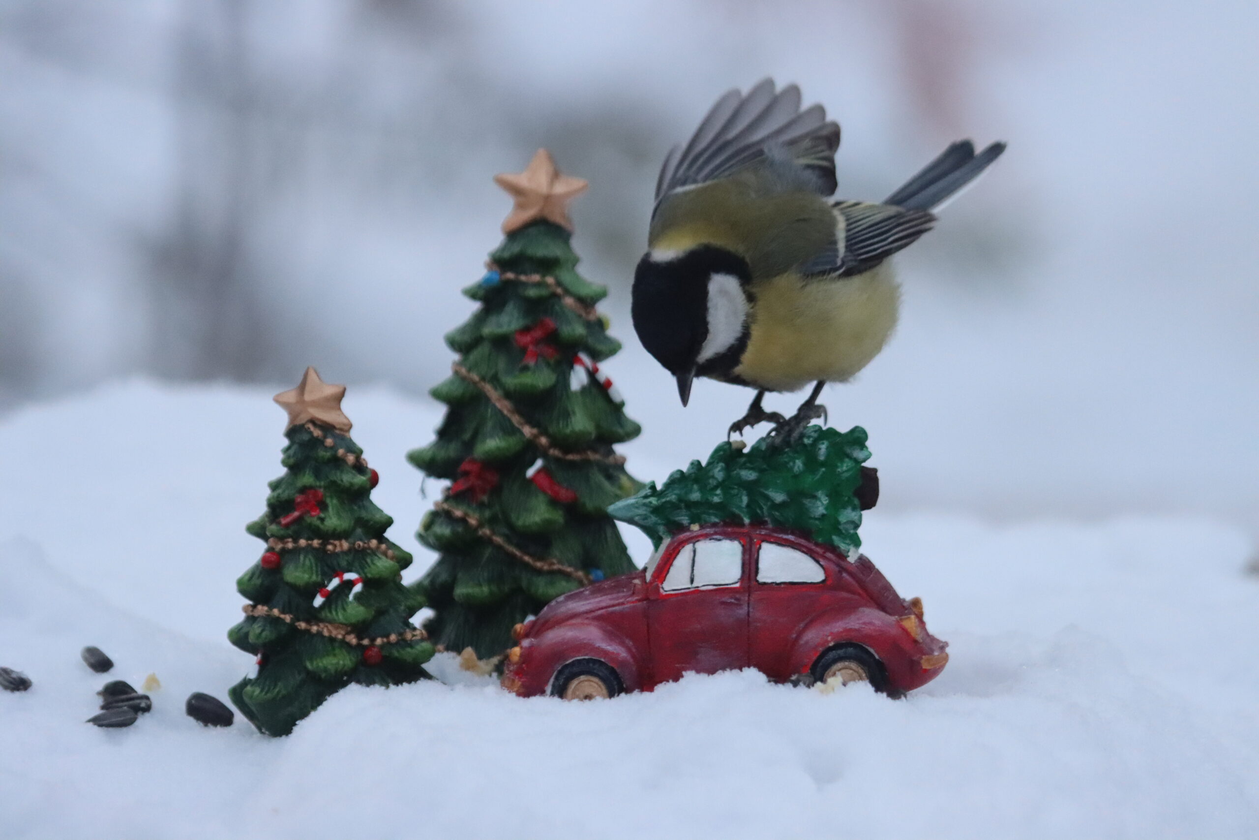 Да разве это зима? В столице всего -18°