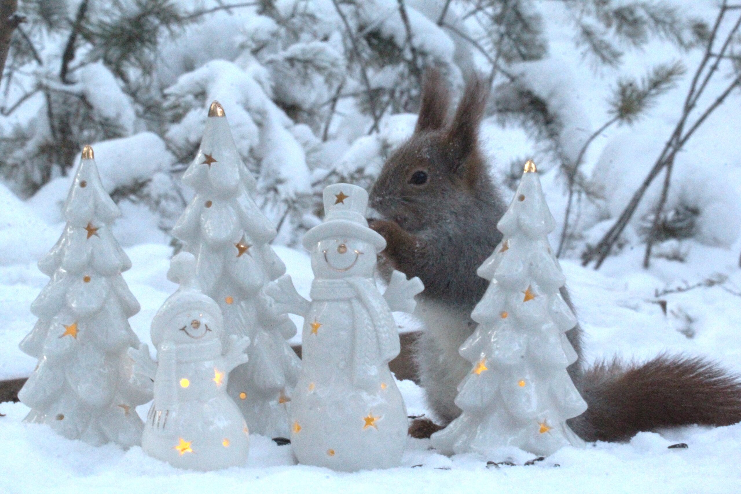 Мороз и солнце, день чудесный