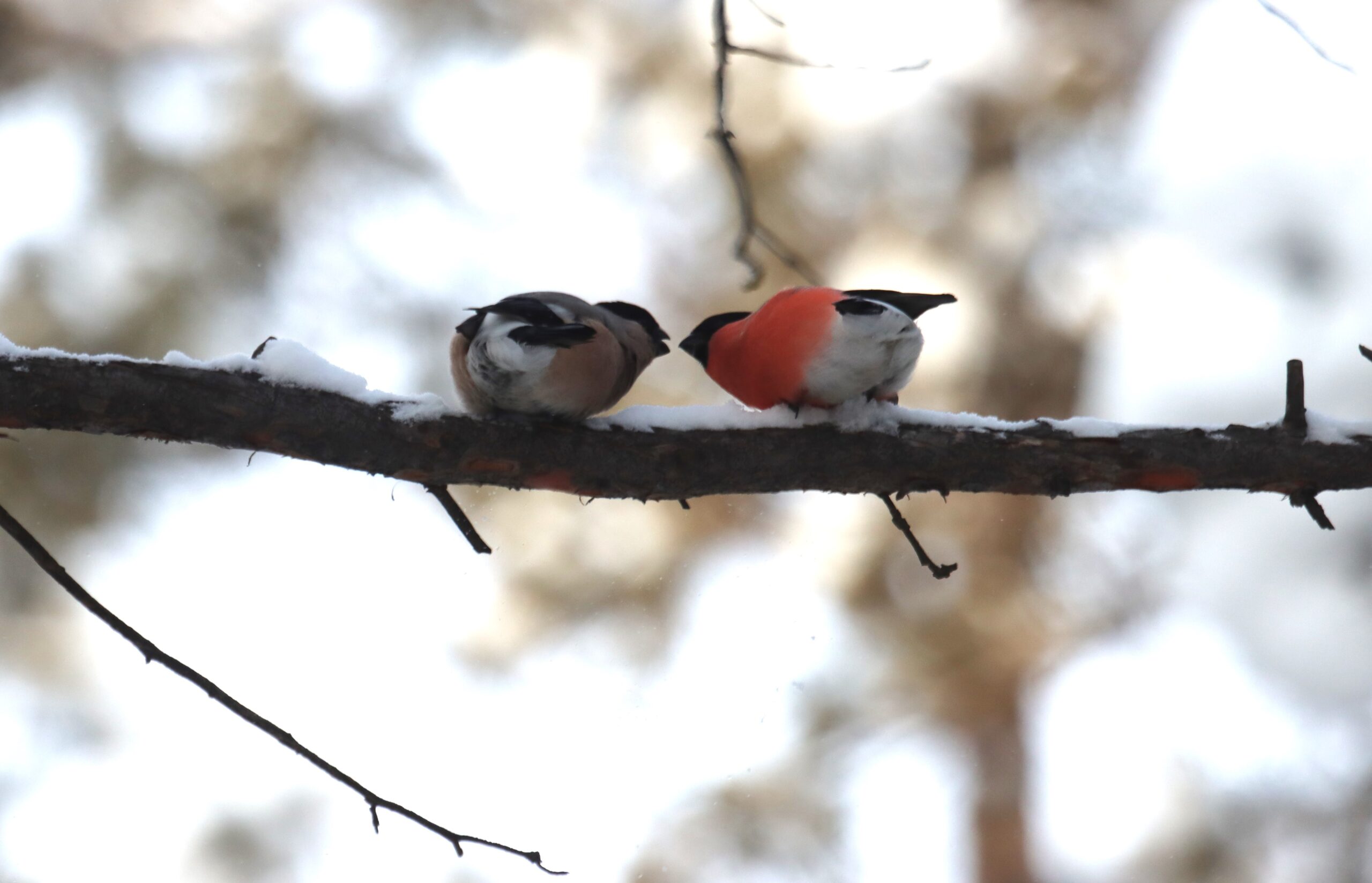 Чудесная погода, не правда ли: Самая романтичная