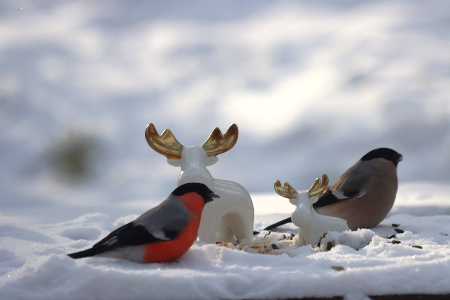 Не погода, а сказка! Местами всего -5°
