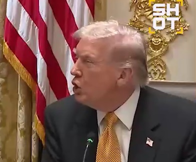 Трамп — Орбану: Украина может победить?