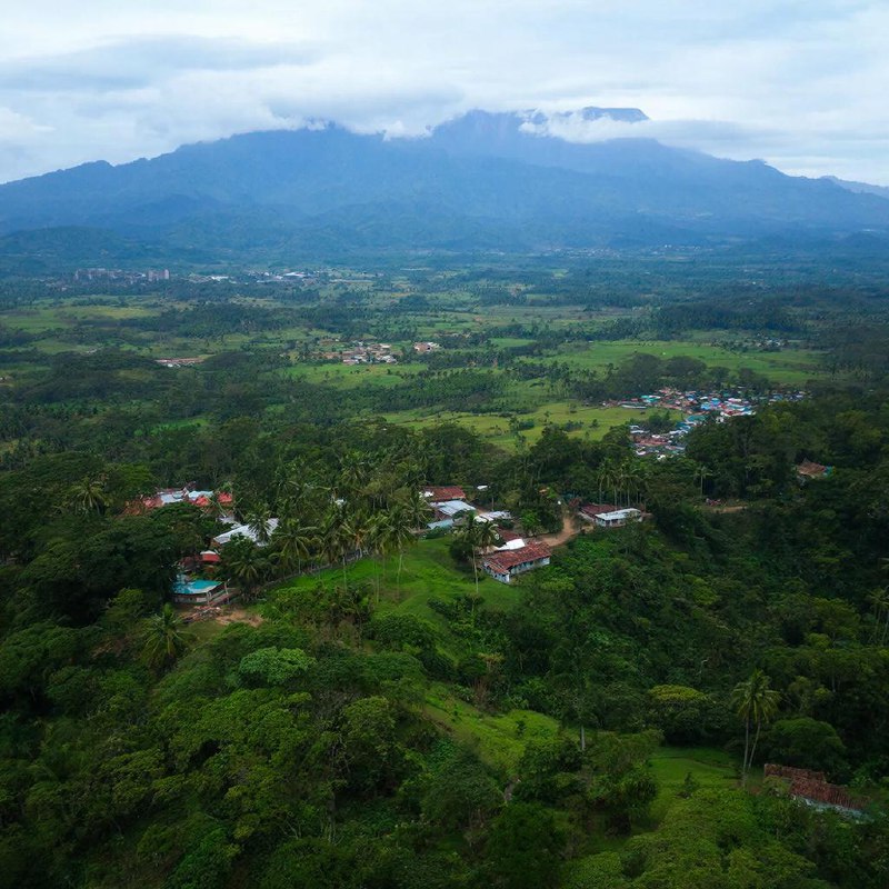 Политическая сенсация: Насри одержал верх над Насраллой
