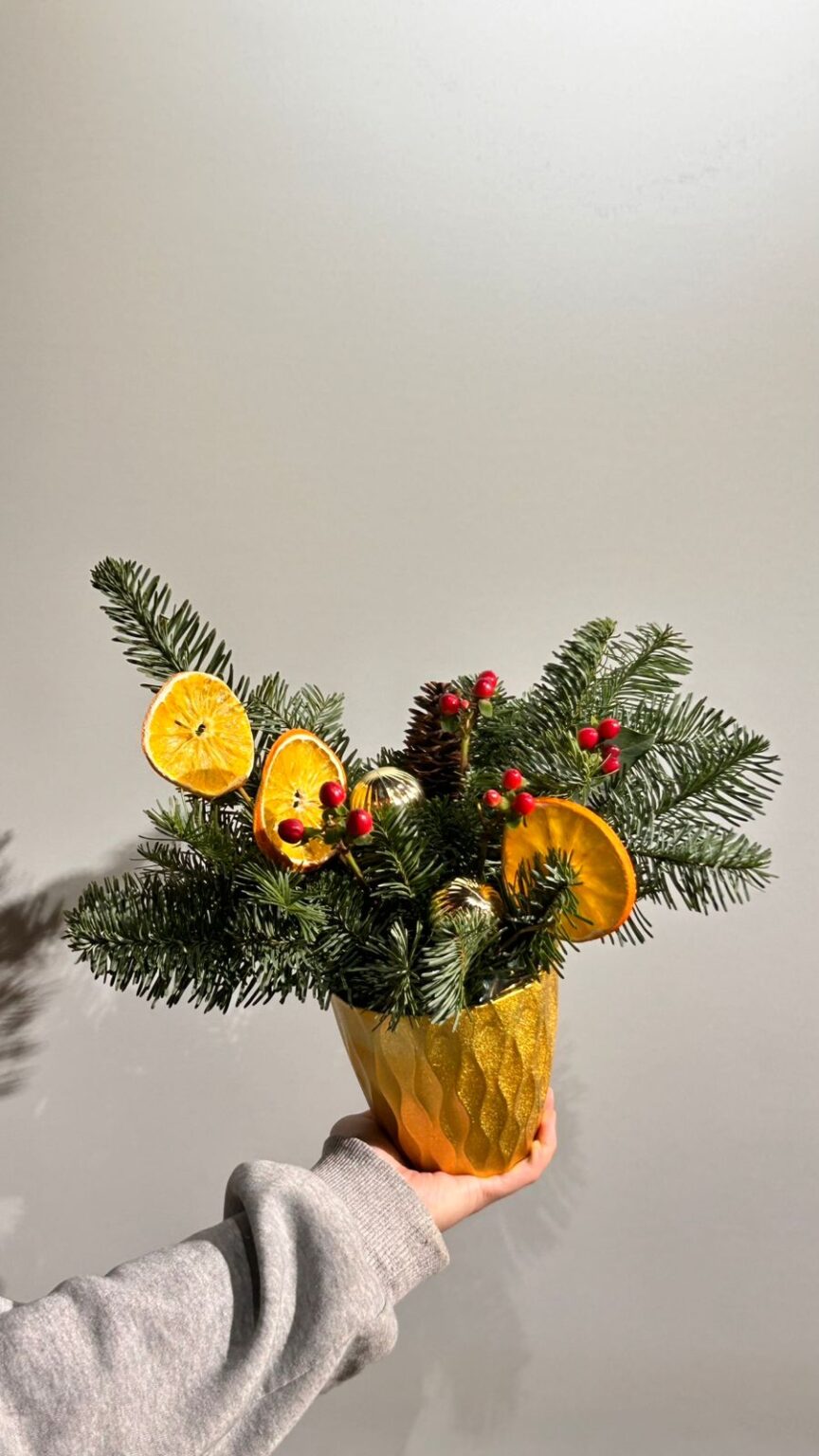 Сегодня день рождения главы, героя труда, боксера, художницы, писательницы и энергопрактика