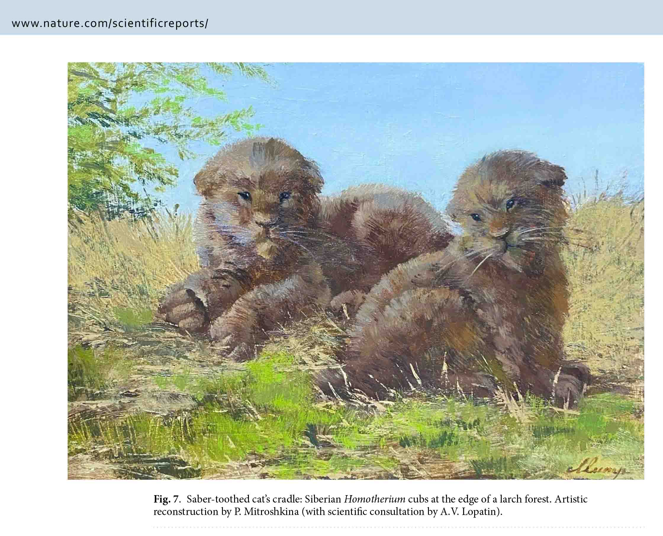 Невероятно! Вечная мерзлота подарила науке сенсационную находку