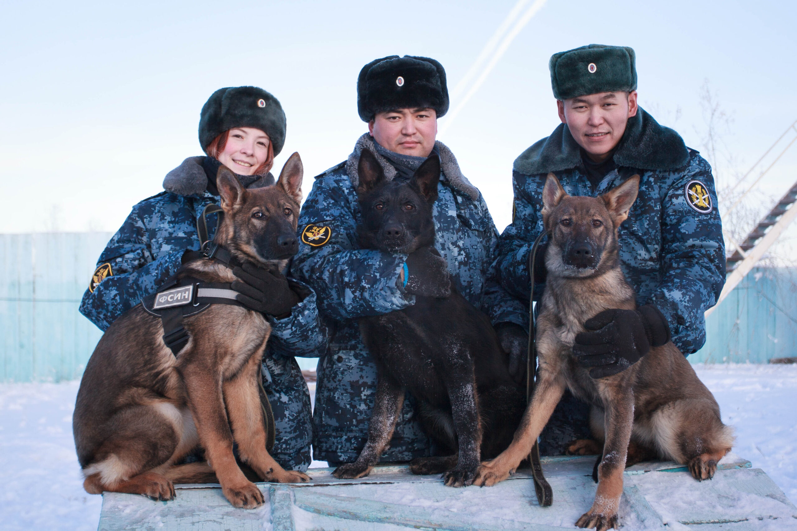 В полку прибыло: Элитные щенки немецкой овчарки начали службу