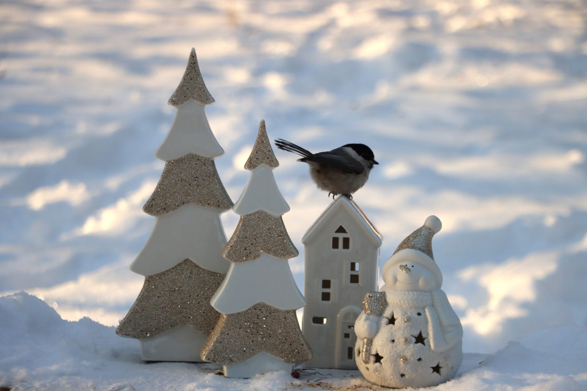 Что происходит в небесной канцелярии? Экстремально низкие температуры сохраняются