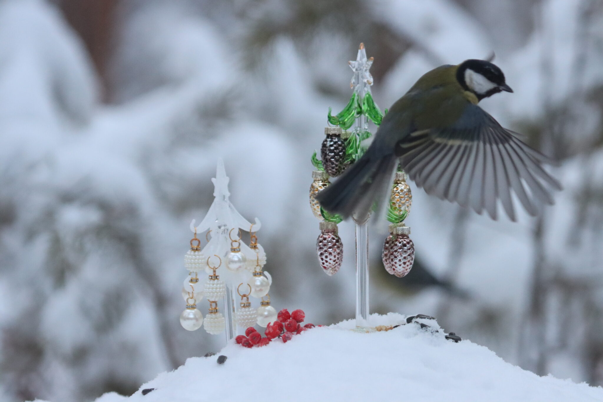 Начались самые короткие дни: И погода не радует