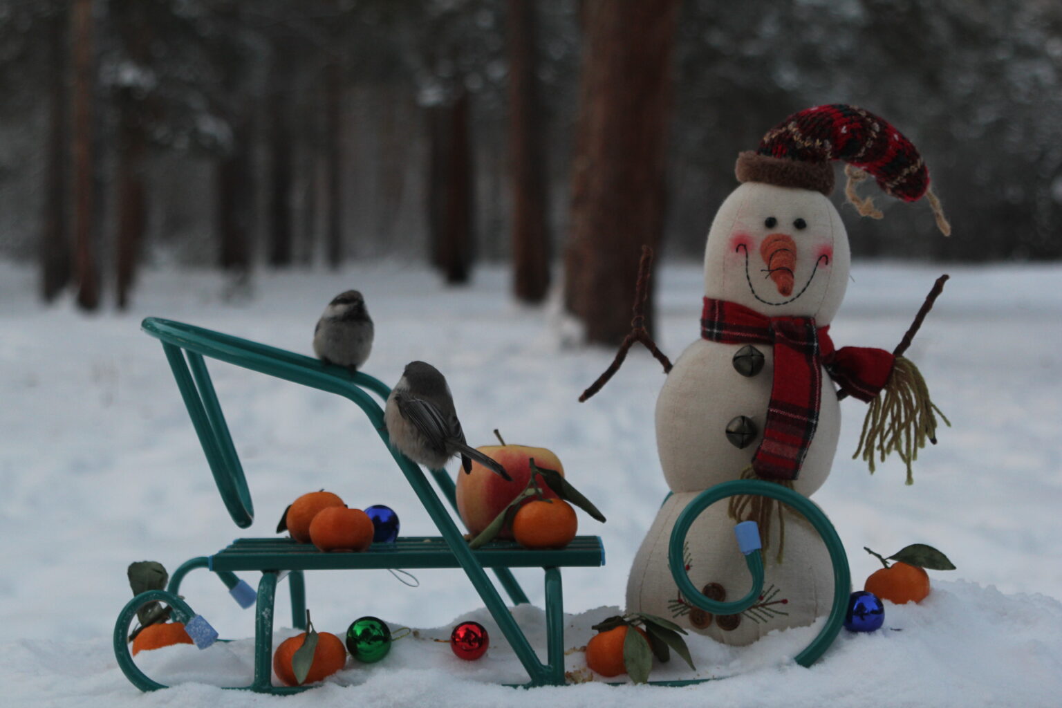 О, погода на улице ужасная: Почти -60°